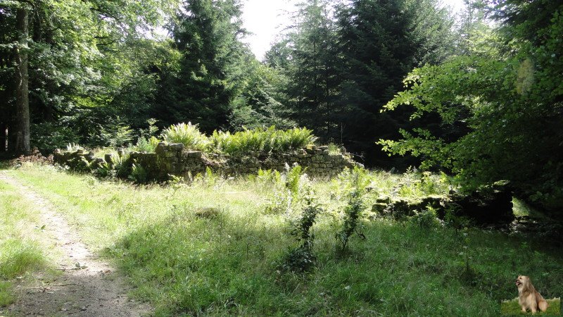 Ritterstein Nr. 097-7 R. Jagdhaus.JPG - Ritterstein Nr.97  R. Jagdhaus